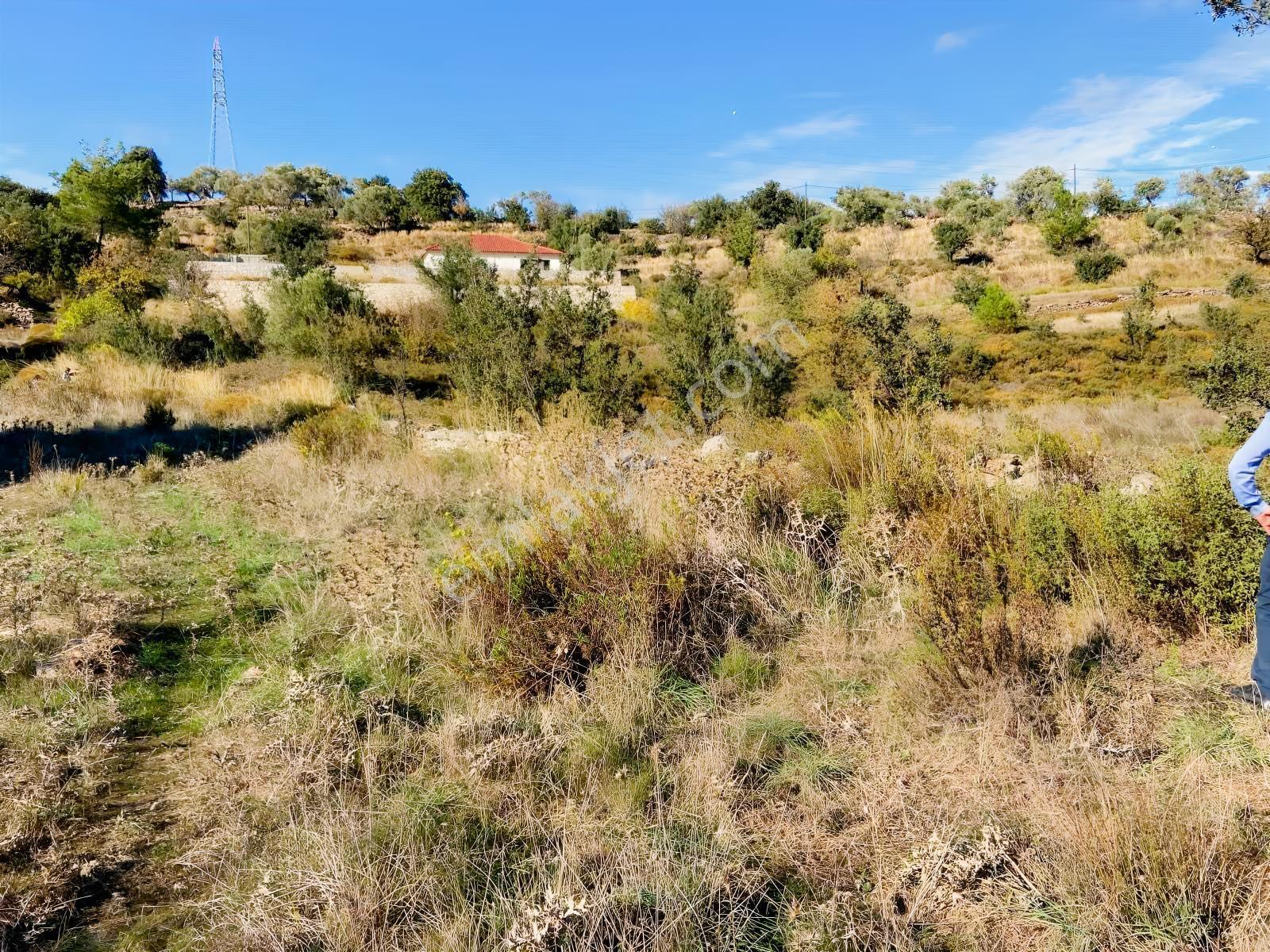 Milas Çiftlik Mah. Satılık 2.254 M2 Tarla — fotoğraf 6
