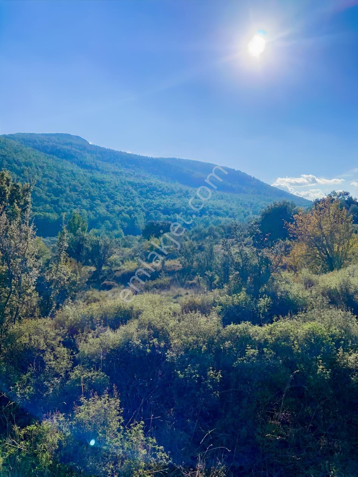 Milas Çiftlik Mah. Satılık 2.254 M2 Tarla — fotoğraf 8