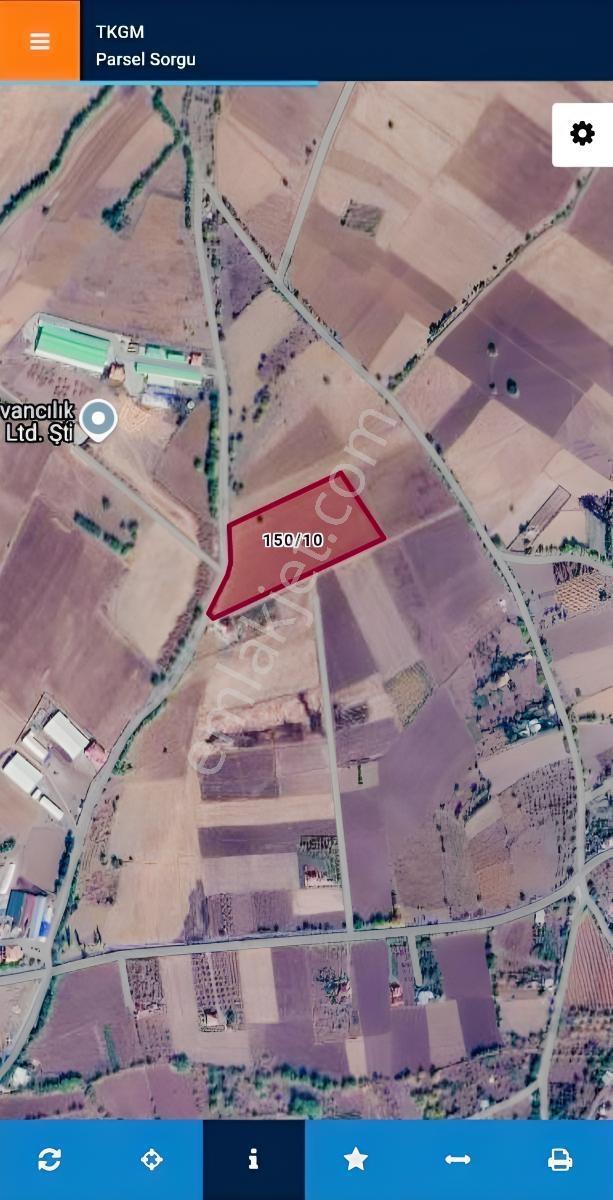 Doğukan Real Estate | Gözebaşı (kinederiç) 16.112m² Sulu Tarla — fotoğraf 2