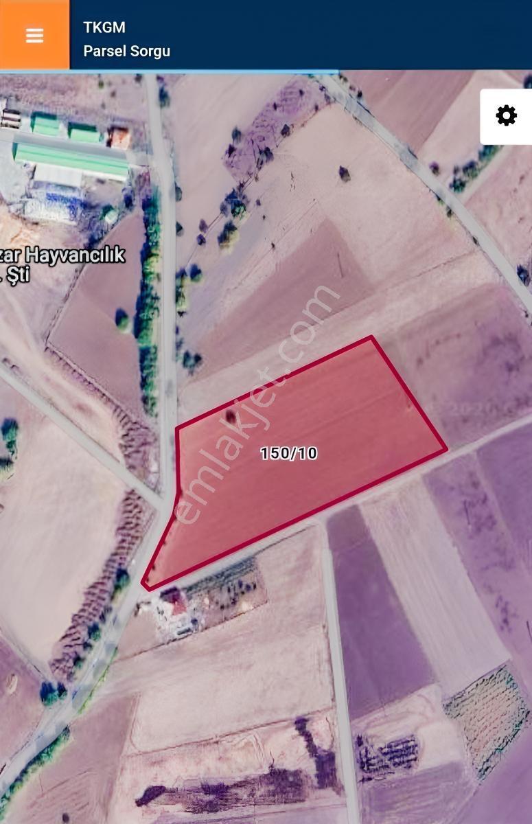 Doğukan Real Estate | Gözebaşı (kinederiç) 16.112m² Sulu Tarla — fotoğraf 5