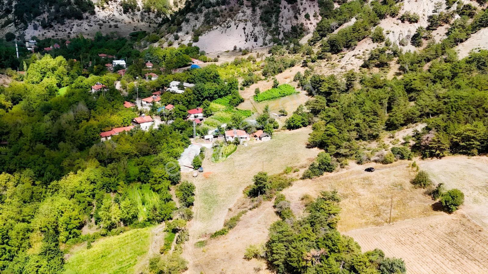 Bolu Göynük Değirmenözü İmar Sınırı Fırsat Bahçe — fotoğraf 10