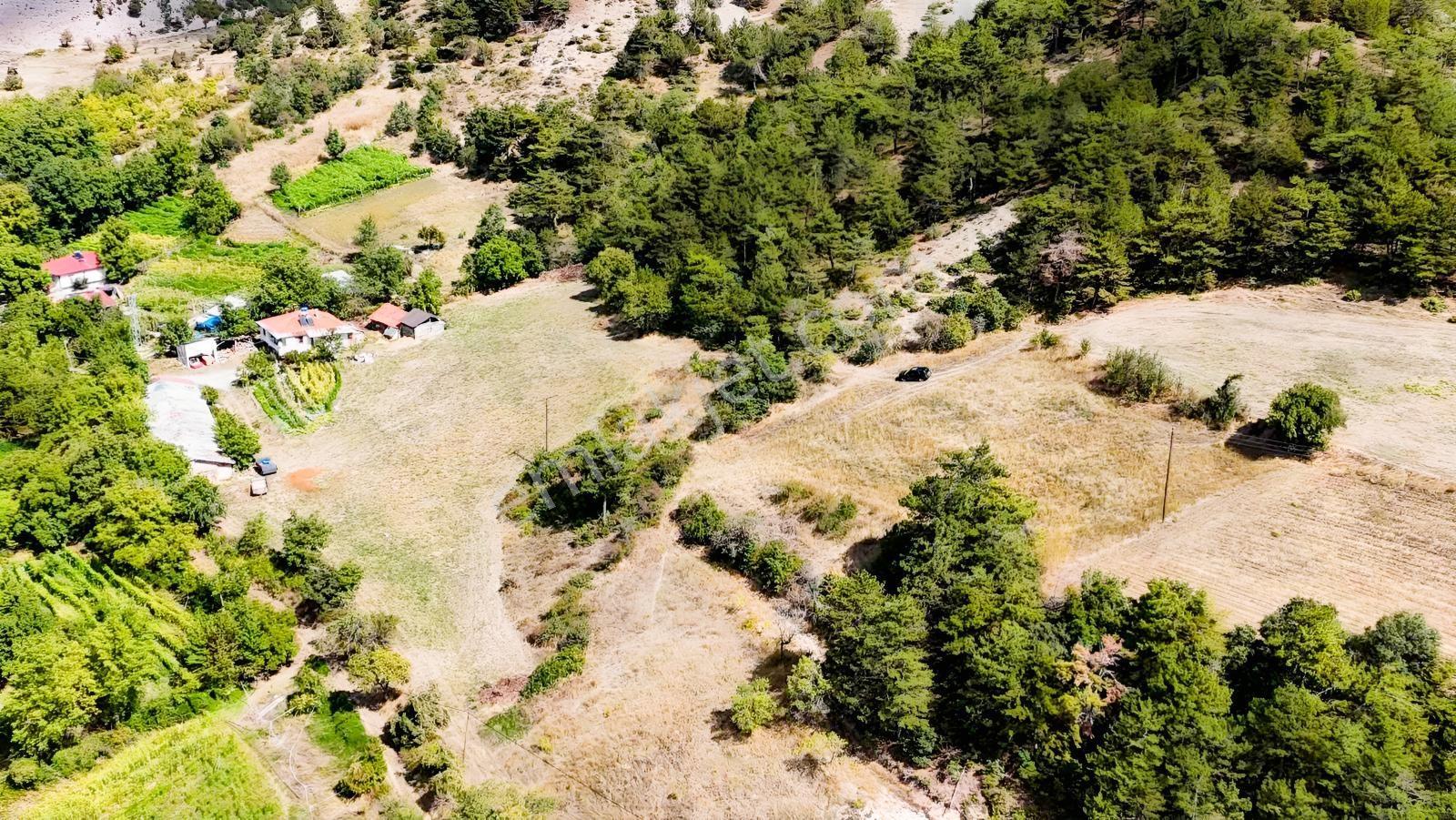Bolu Göynük Değirmenözü İmar Sınırı Fırsat Bahçe — fotoğraf 13