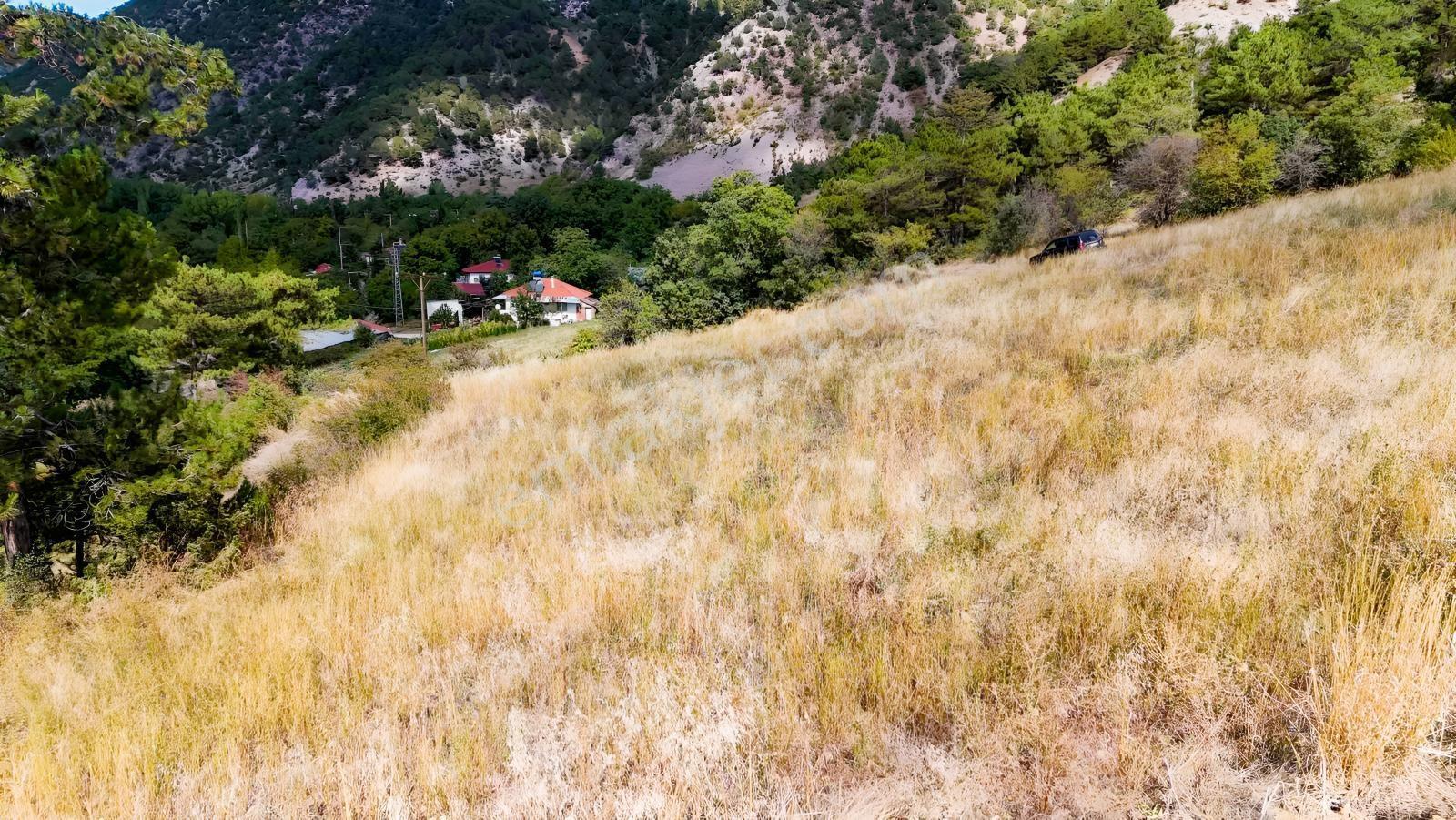 Bolu Göynük Değirmenözü İmar Sınırı Fırsat Bahçe — fotoğraf 14