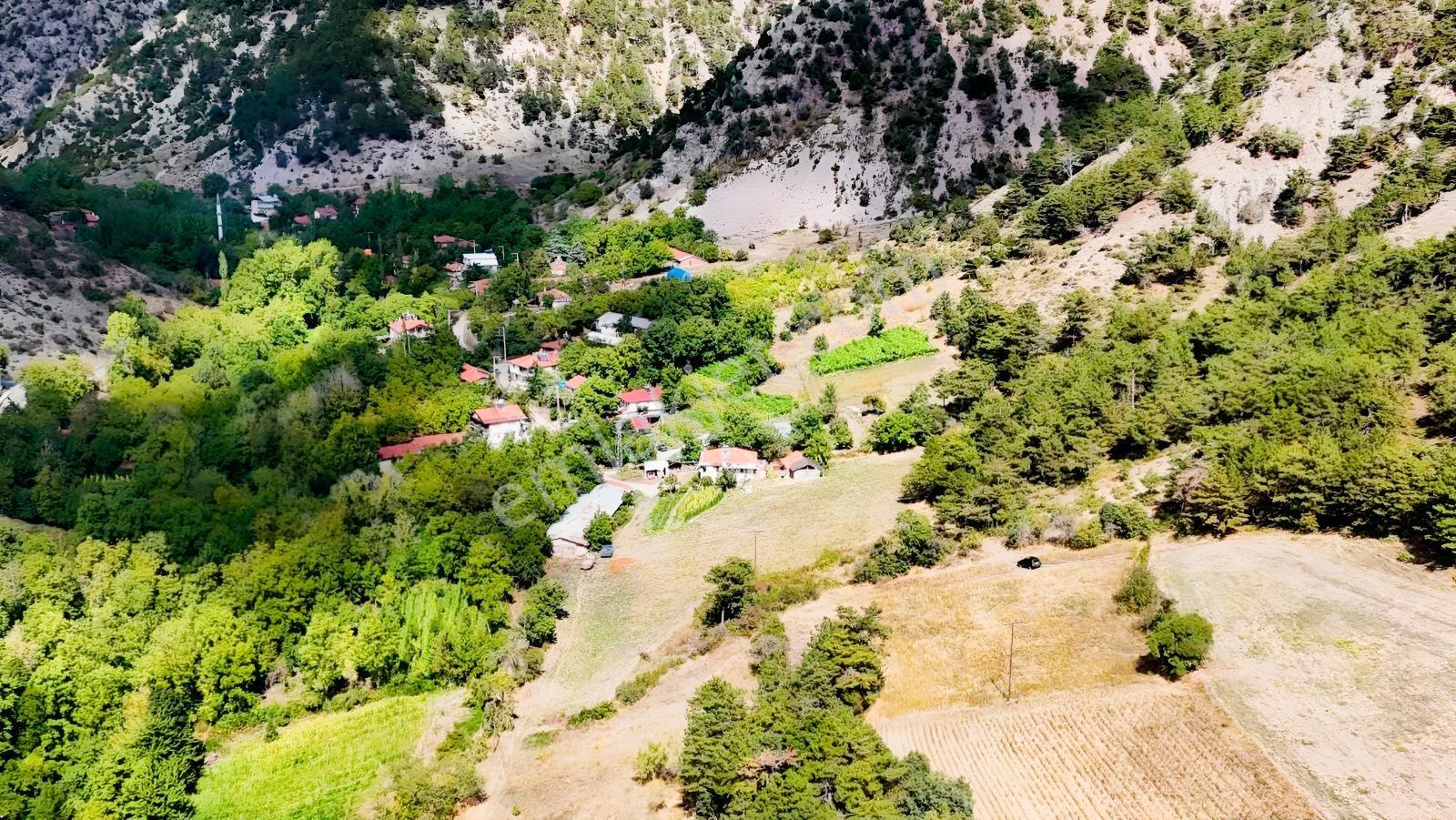 Bolu Göynük Değirmenözü İmar Sınırı Fırsat Bahçe — fotoğraf 15