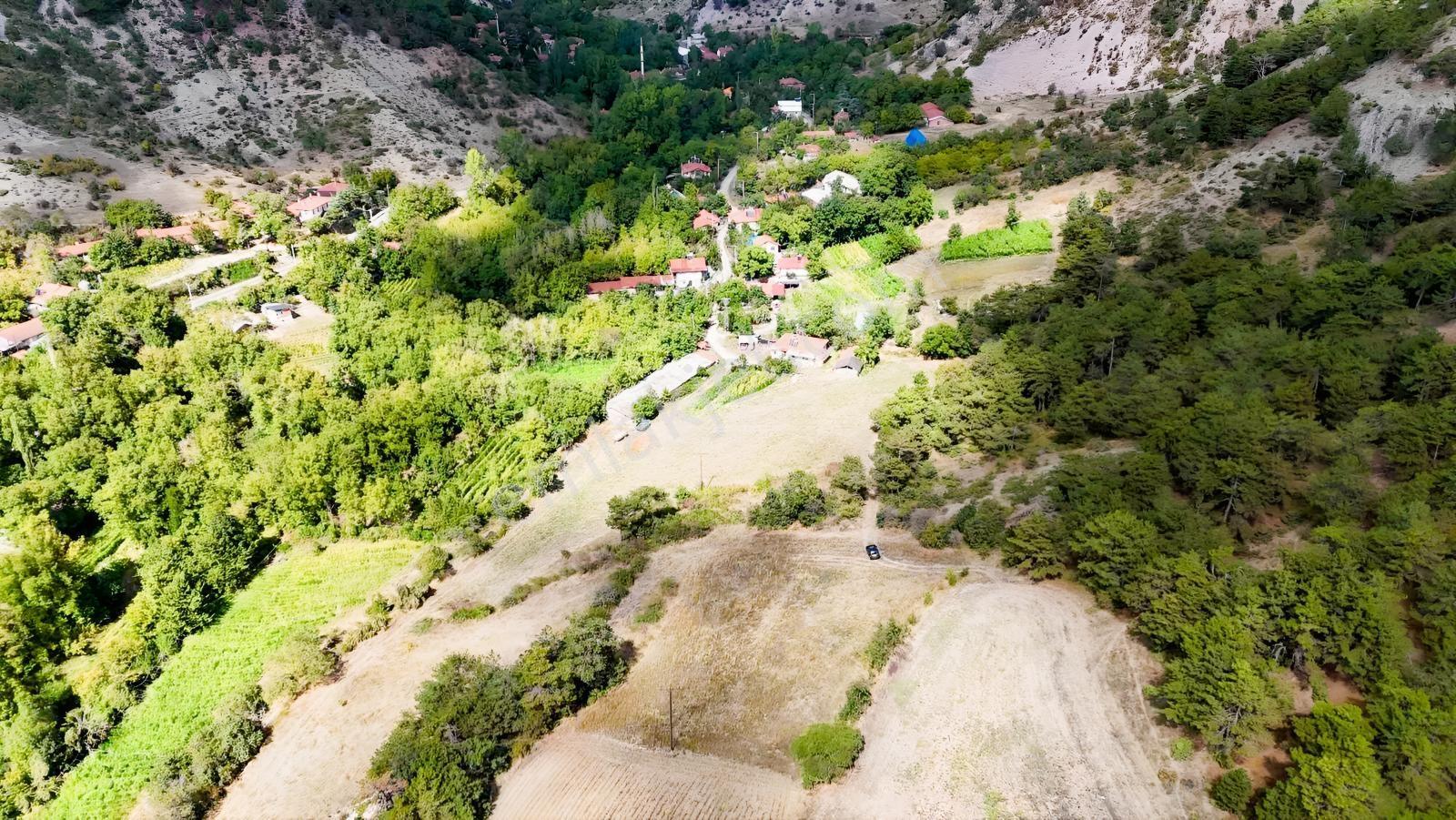 Bolu Göynük Değirmenözü İmar Sınırı Fırsat Bahçe — fotoğraf 18