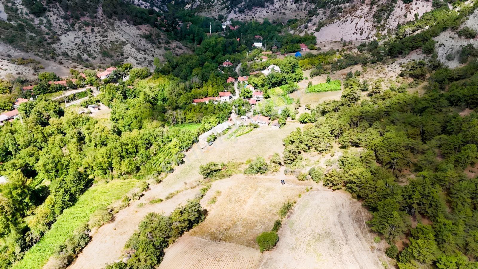 Bolu Göynük Değirmenözü İmar Sınırı Fırsat Bahçe — fotoğraf 20