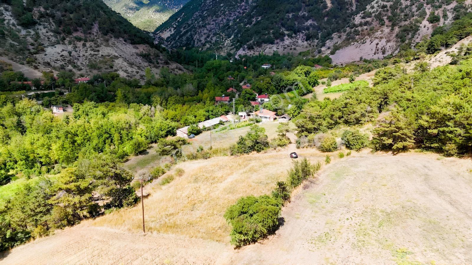 Bolu Göynük Değirmenözü İmar Sınırı Fırsat Bahçe — fotoğraf 21