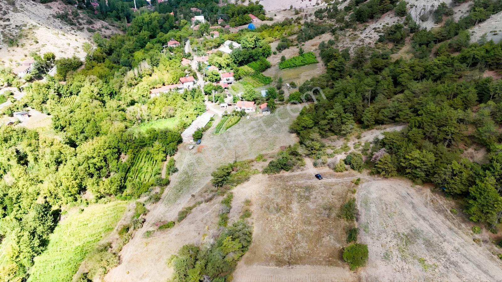 Bolu Göynük Değirmenözü İmar Sınırı Fırsat Bahçe — fotoğraf 23