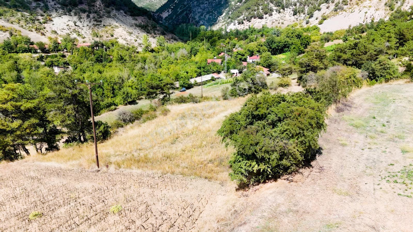 Bolu Göynük Değirmenözü İmar Sınırı Fırsat Bahçe — fotoğraf 25