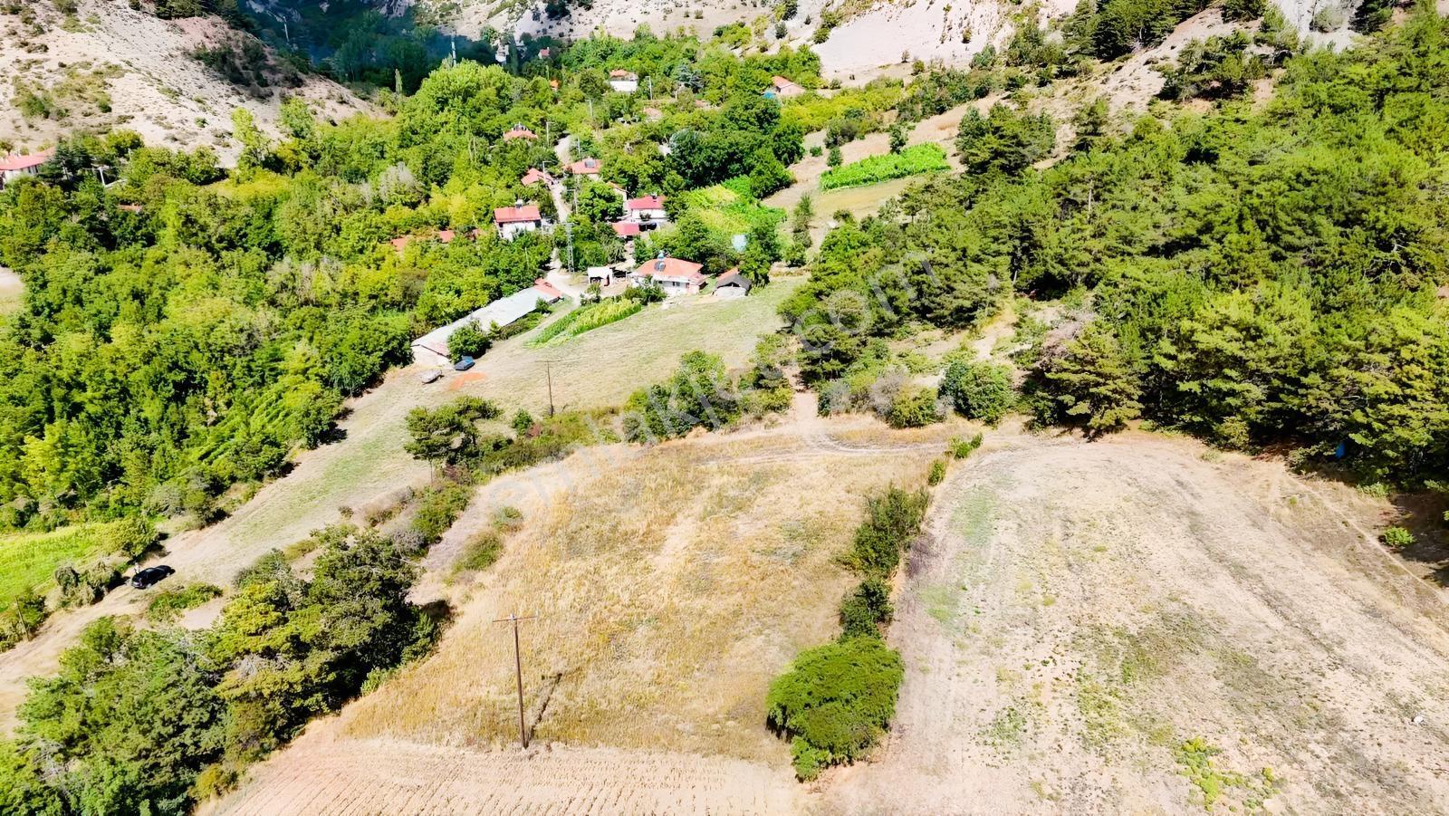 Bolu Göynük Değirmenözü İmar Sınırı Fırsat Bahçe — fotoğraf 26