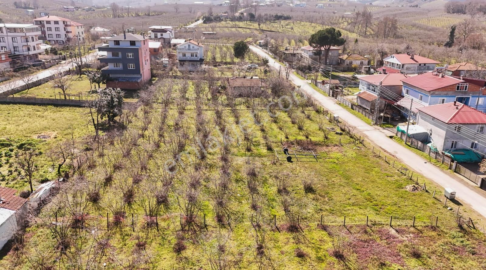 Kocaali Kadıköyde Deniz Manzaralı 1077 Mkare Fırsat Arsa — fotoğraf 16