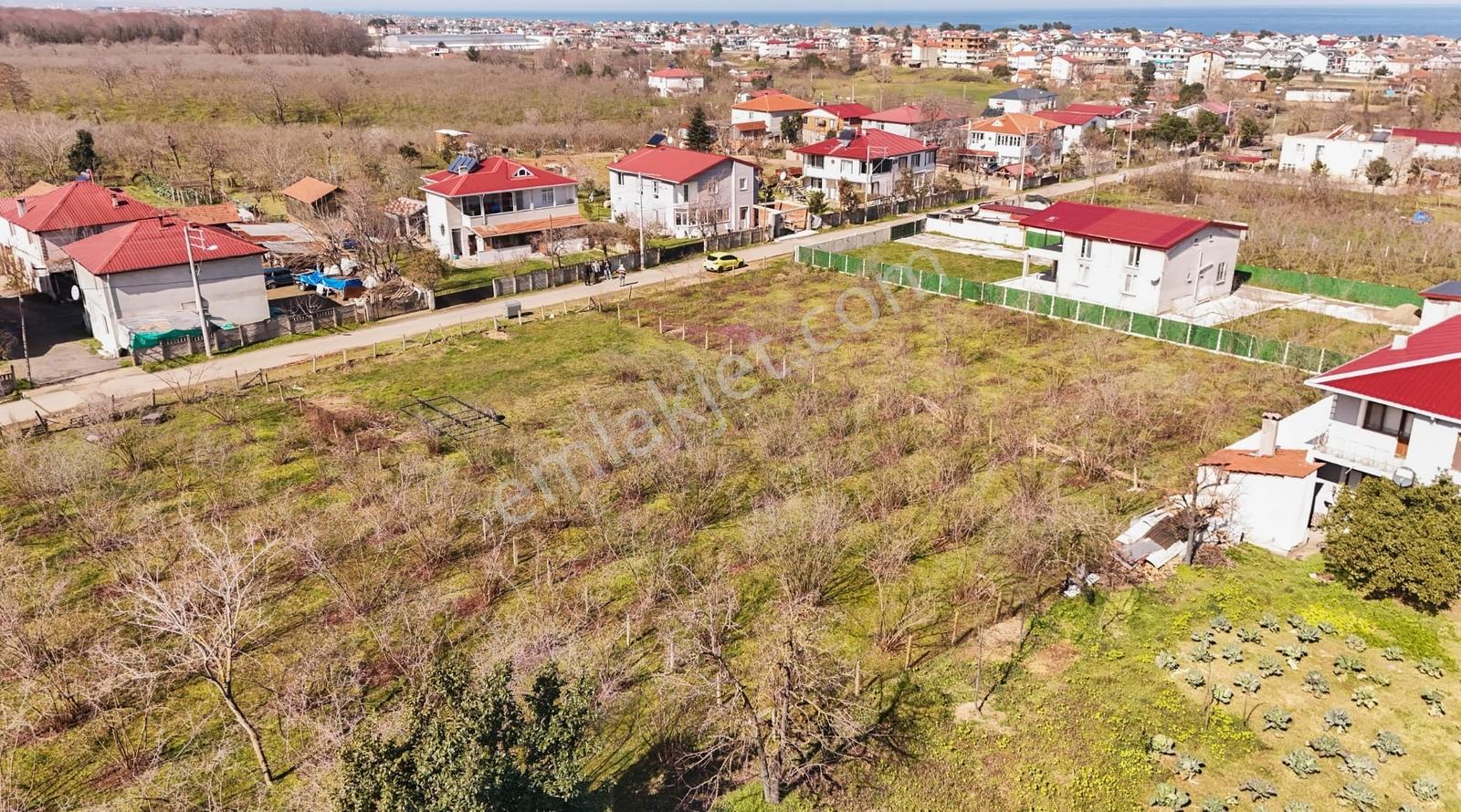 Kocaali Kadıköyde Deniz Manzaralı 1077 Mkare Fırsat Arsa — fotoğraf 17