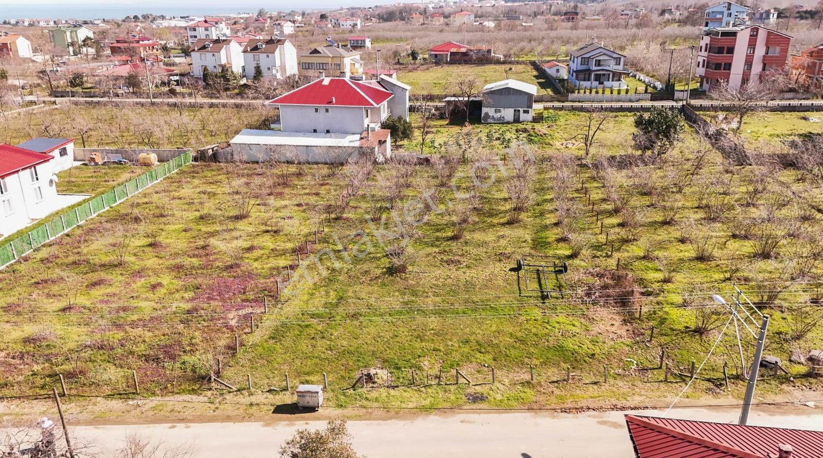 Kocaali Kadıköyde Deniz Manzaralı 1077 Mkare Fırsat Arsa — fotoğraf 19
