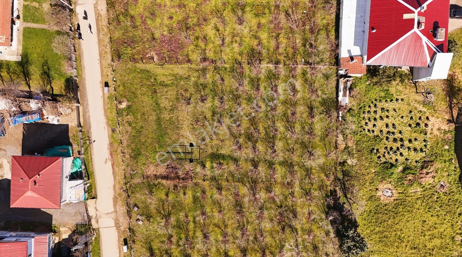 Kocaali Kadıköyde Deniz Manzaralı 1077 Mkare Fırsat Arsa — fotoğraf 22
