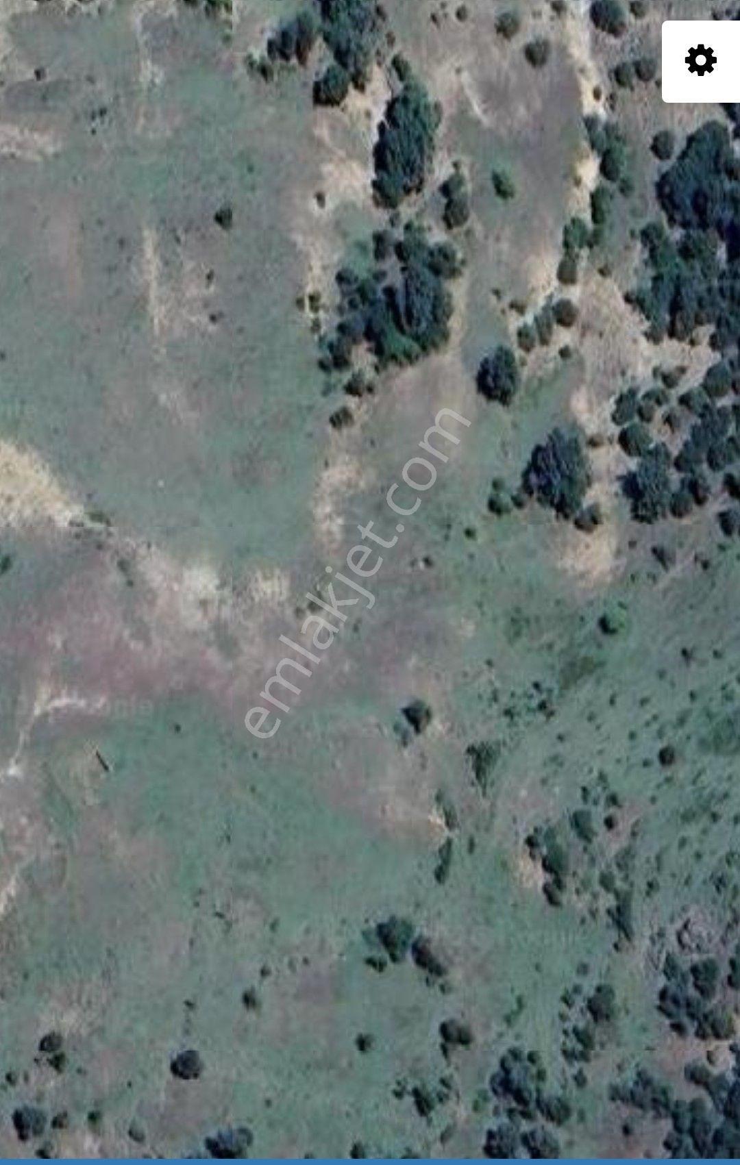 Karacasu Dedeler'de Satılık. Arazi — fotoğraf 3