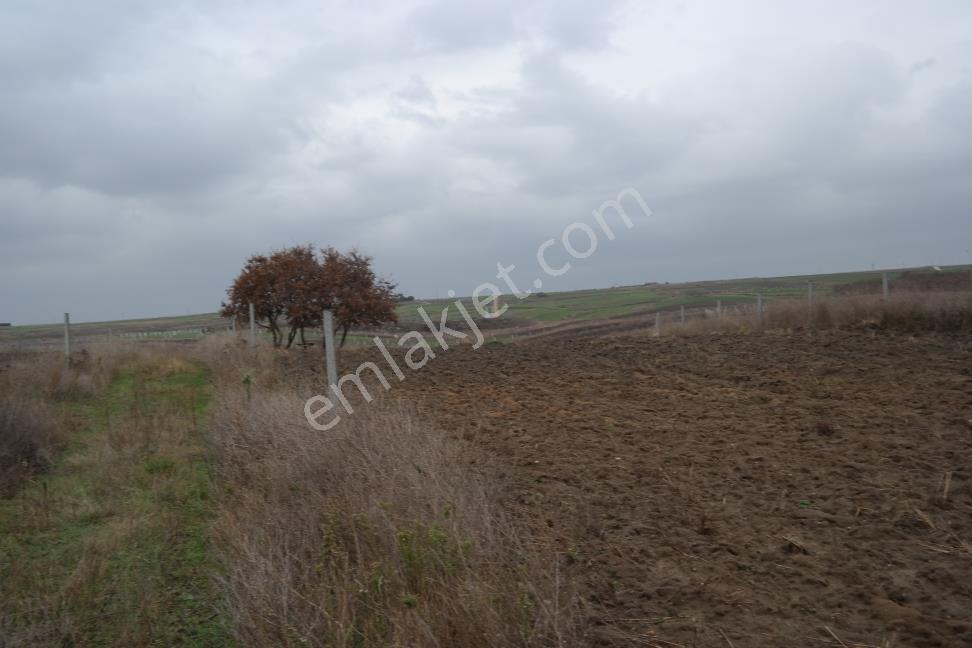 Silivri Balaban Da Gölet Manzaralı İmarlı 515m2 Satılık Arsa — fotoğraf 15