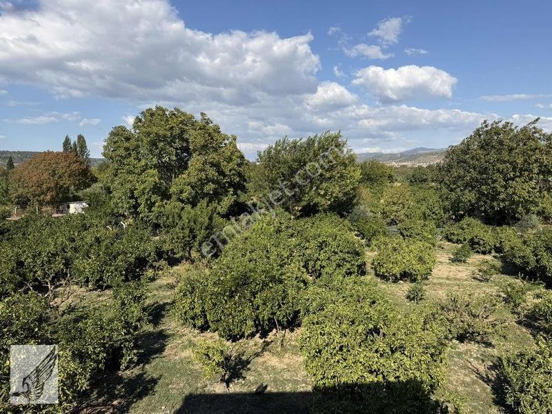 Seferihisar Ulamış'ta 2.332m² İçerisinde Ruhsatlı Müstakil Ev — fotoğraf 4