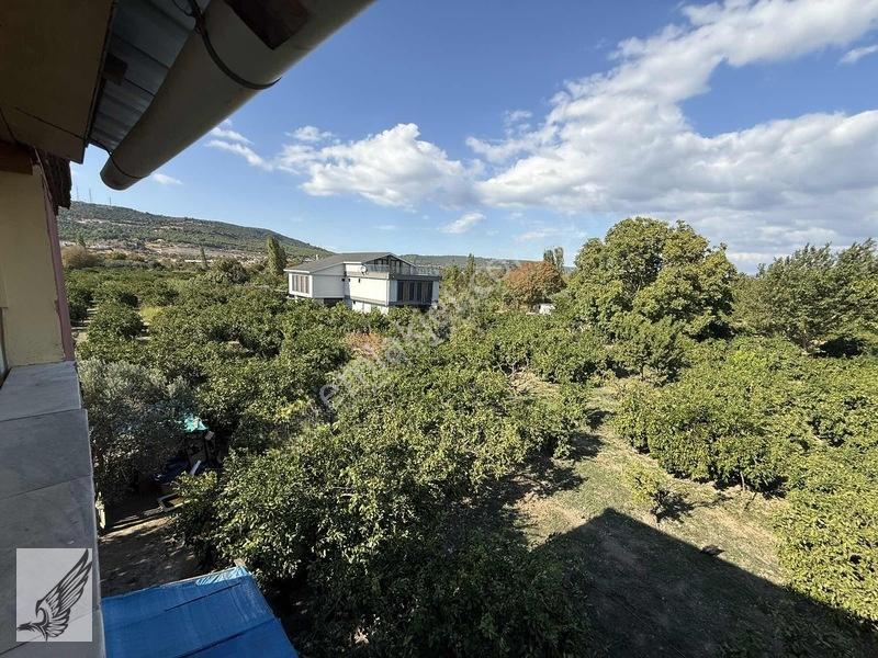Seferihisar Ulamış'ta 2.332m² İçerisinde Ruhsatlı Müstakil Ev — fotoğraf 5