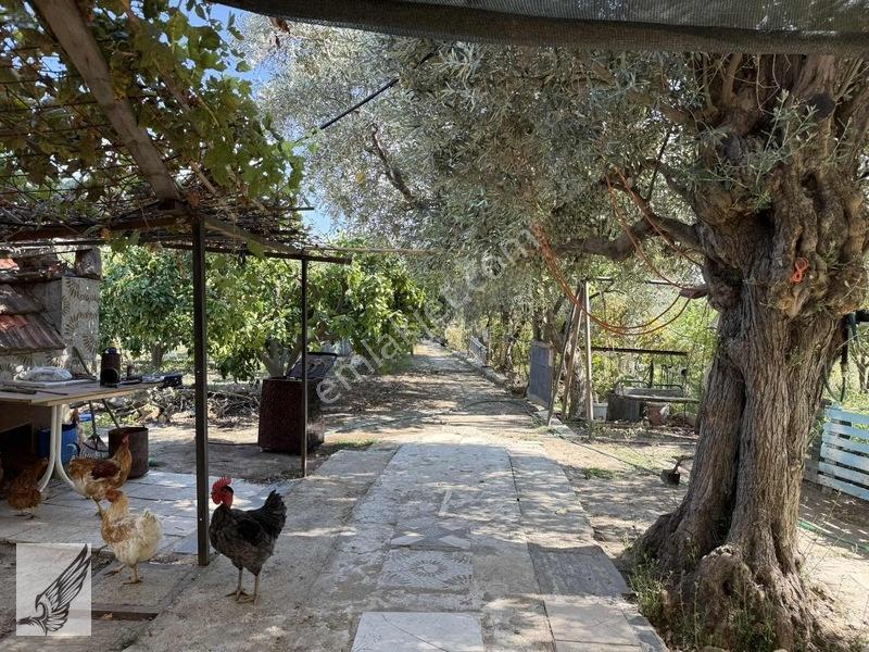 Seferihisar Ulamış'ta 2.332m² İçerisinde Ruhsatlı Müstakil Ev — fotoğraf 7