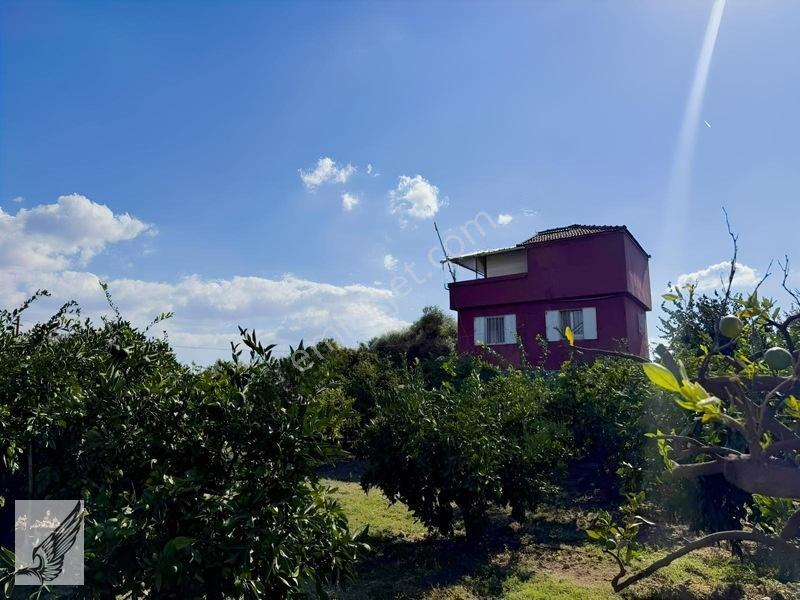 Seferihisar Ulamış'ta 2.332m² İçerisinde Ruhsatlı Müstakil Ev — fotoğraf 8
