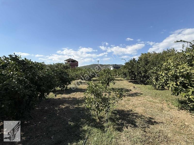 Seferihisar Ulamış'ta 2.332m² İçerisinde Ruhsatlı Müstakil Ev — fotoğraf 9
