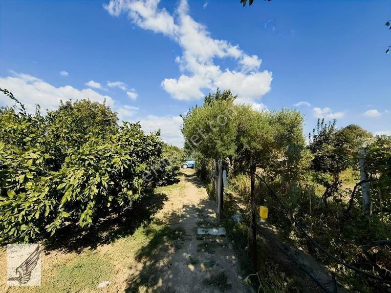 Seferihisar Ulamış'ta 2.332m² İçerisinde Ruhsatlı Müstakil Ev — fotoğraf 10