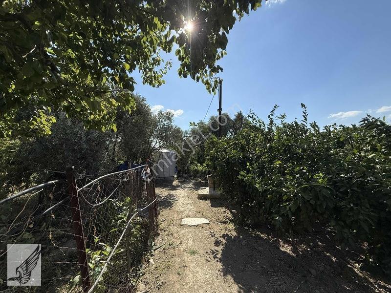 Seferihisar Ulamış'ta 2.332m² İçerisinde Ruhsatlı Müstakil Ev — fotoğraf 11