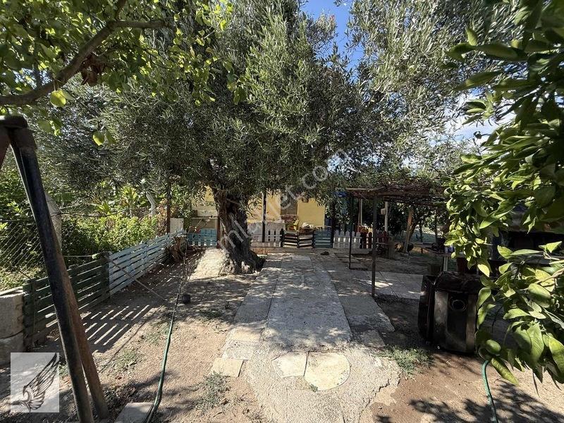 Seferihisar Ulamış'ta 2.332m² İçerisinde Ruhsatlı Müstakil Ev — fotoğraf 12