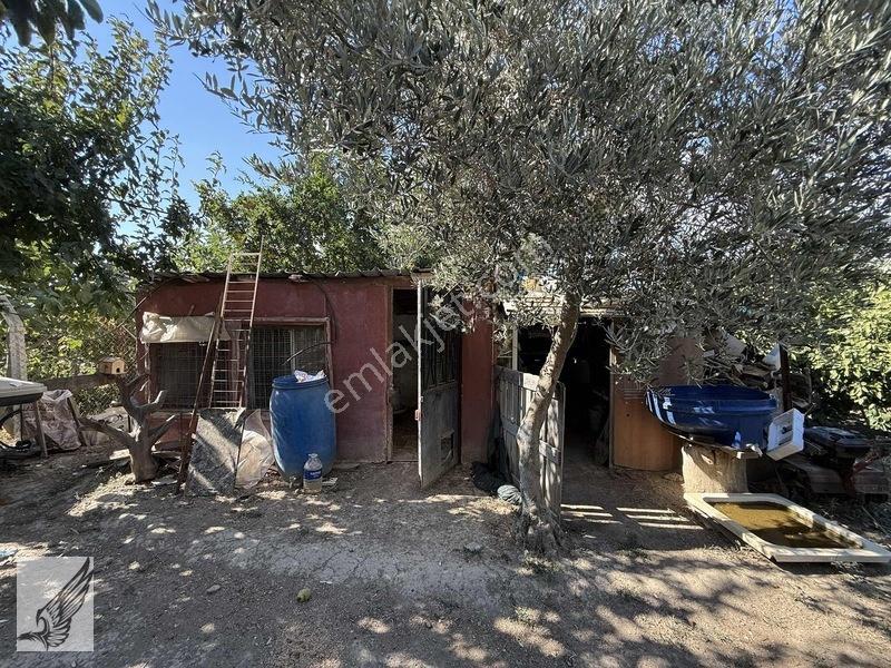 Seferihisar Ulamış'ta 2.332m² İçerisinde Ruhsatlı Müstakil Ev — fotoğraf 16