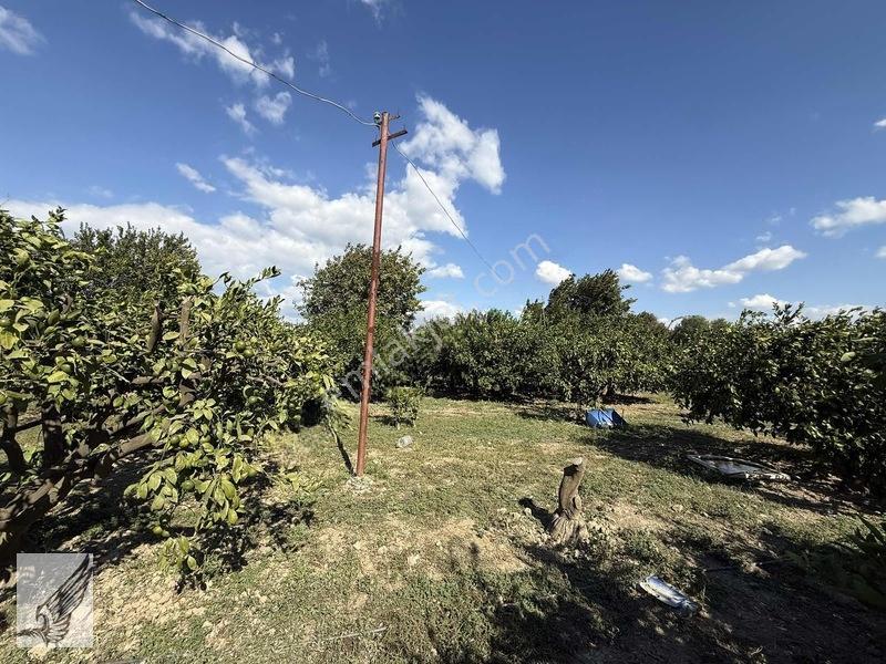 Seferihisar Ulamış'ta 2.332m² İçerisinde Ruhsatlı Müstakil Ev — fotoğraf 26
