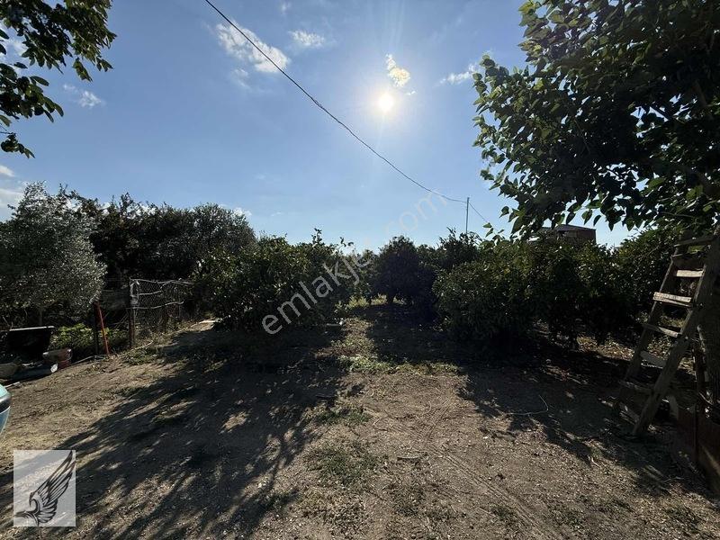Seferihisar Ulamış'ta 2.332m² İçerisinde Ruhsatlı Müstakil Ev — fotoğraf 32