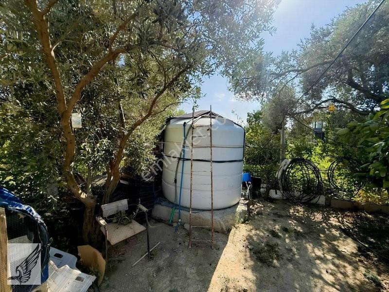 Seferihisar Ulamış'ta 2.332m² İçerisinde Ruhsatlı Müstakil Ev — fotoğraf 33
