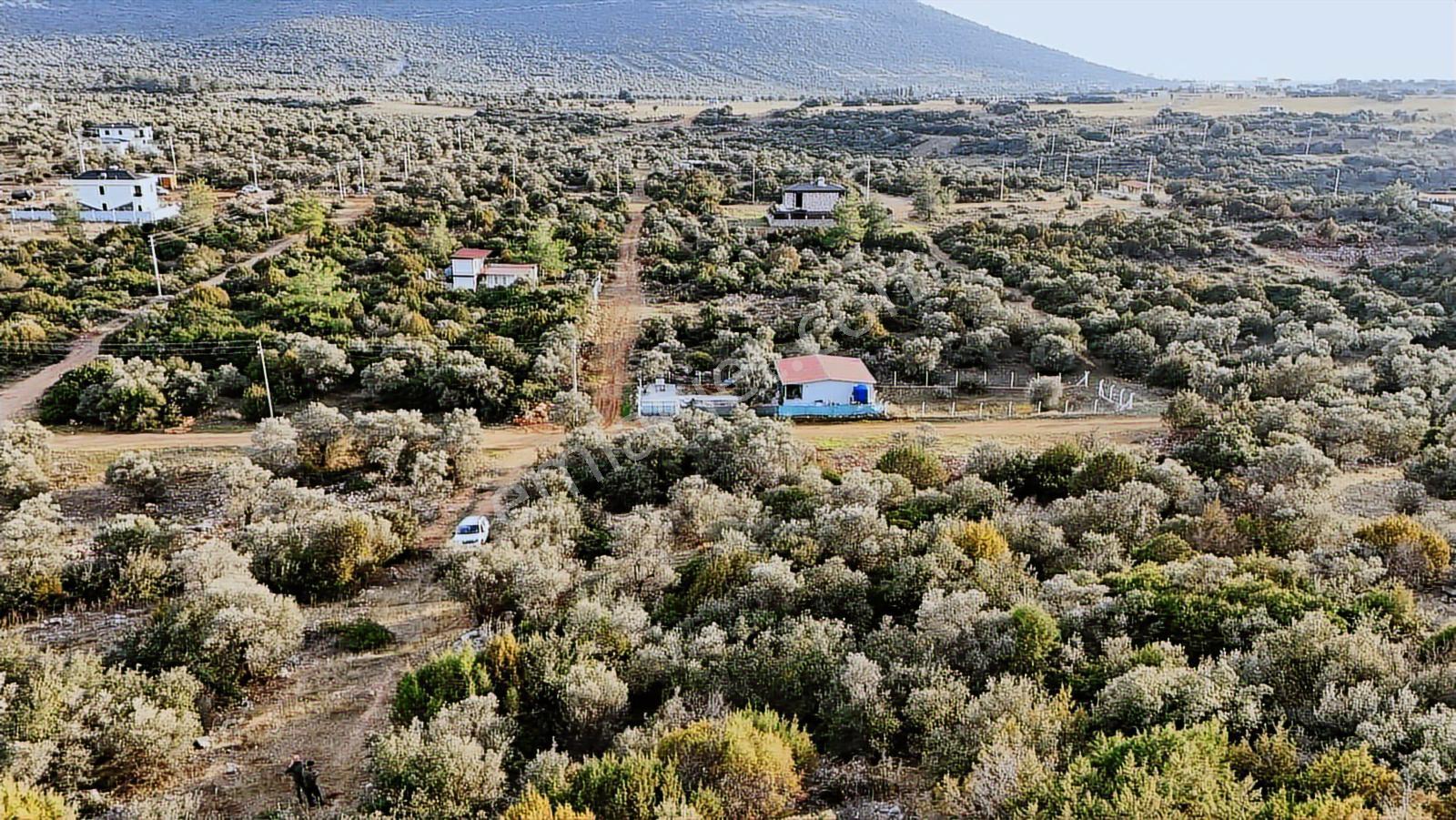 Didim Kardelen De Satılık 300 M2 Müstakil Arsa