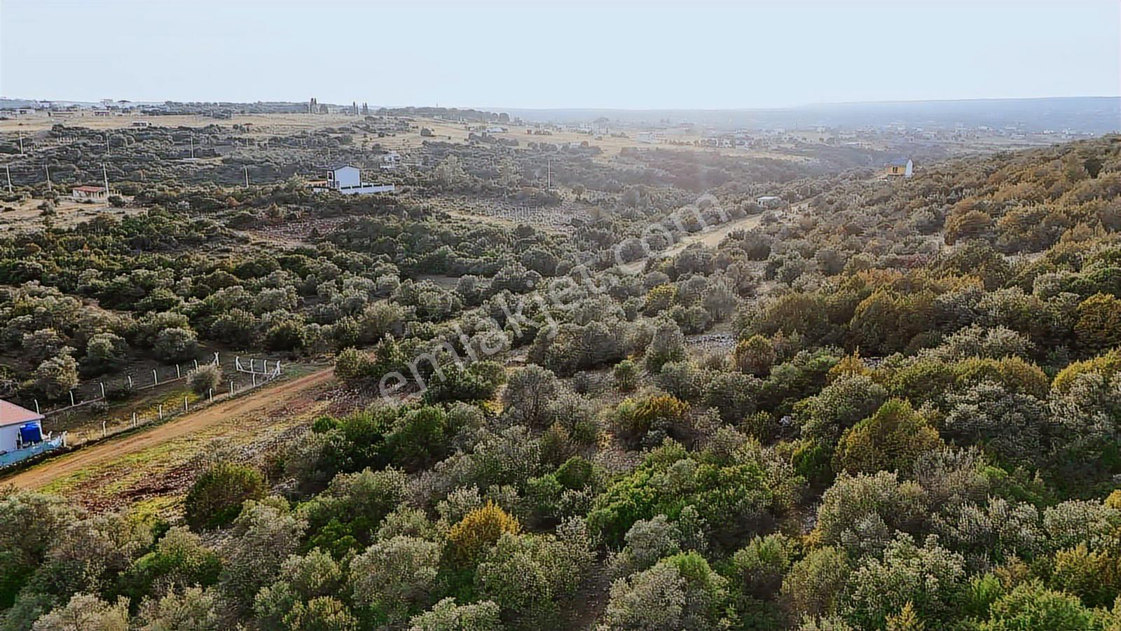 Didim Kardelen De Satılık 300 M2 Müstakil Arsa — fotoğraf 3