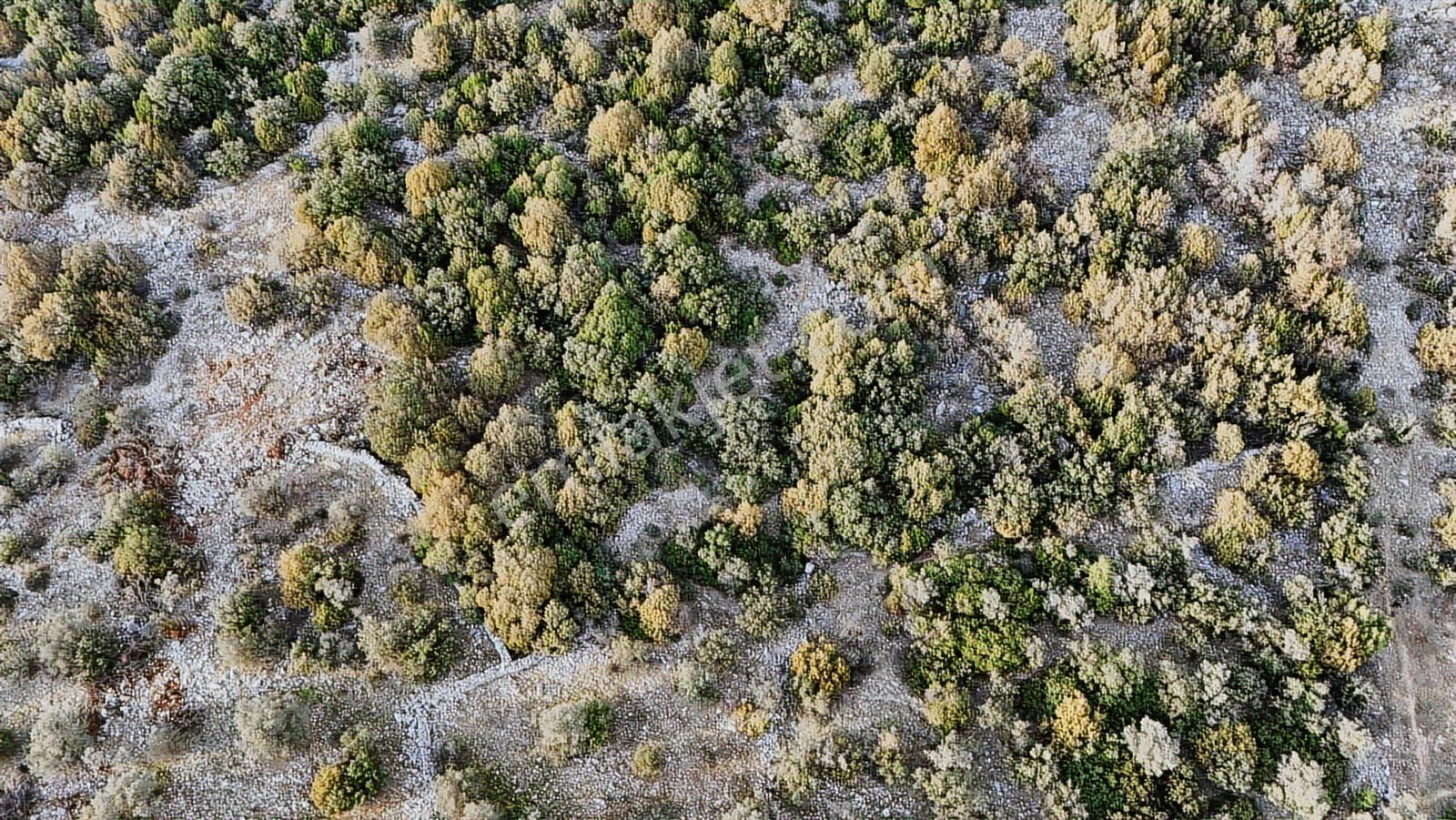 Didim Kardelen De Satılık 300 M2 Müstakil Arsa — fotoğraf 7