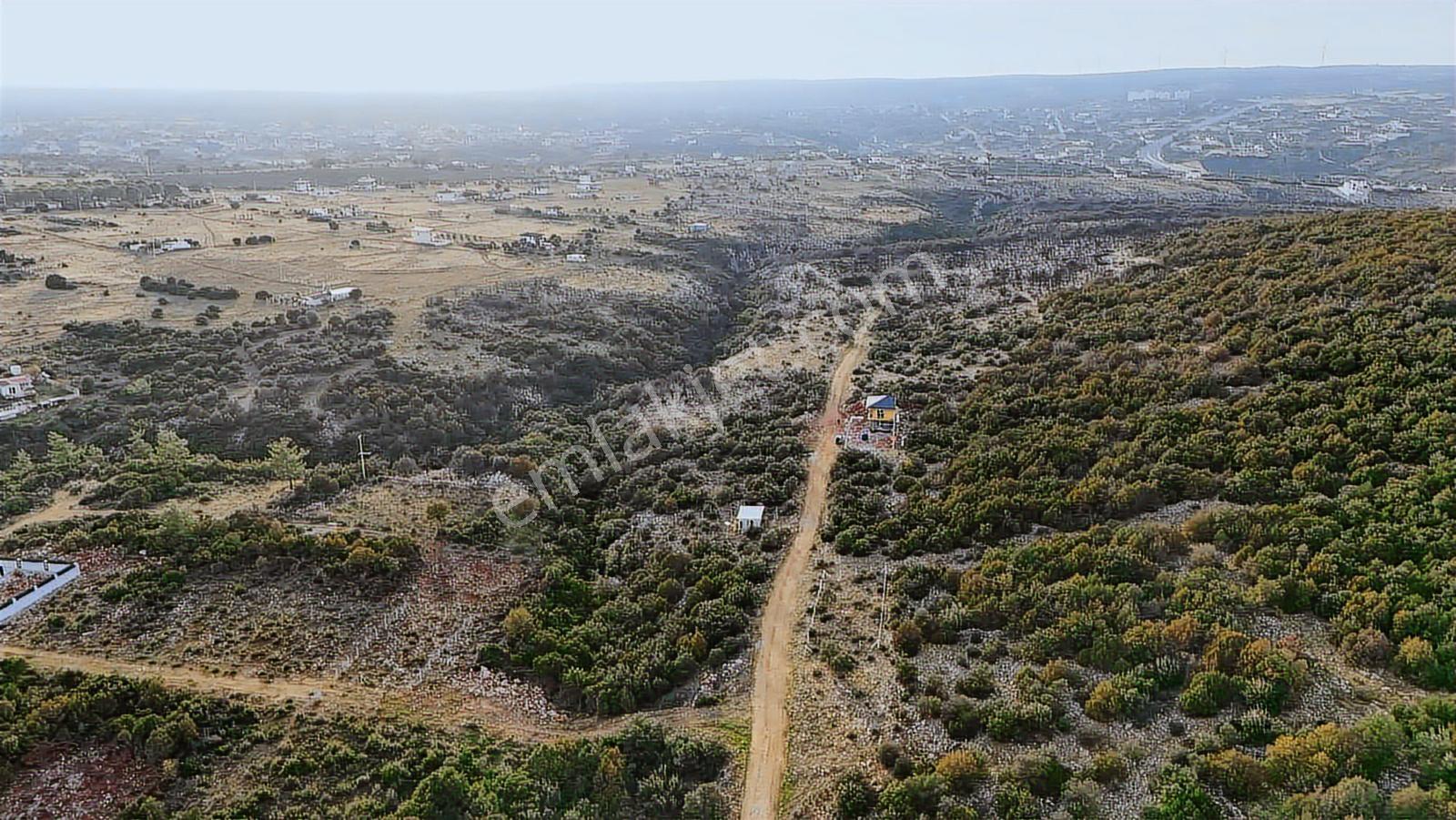 Didim Kardelen De Satılık 300 M2 Müstakil Arsa — fotoğraf 10
