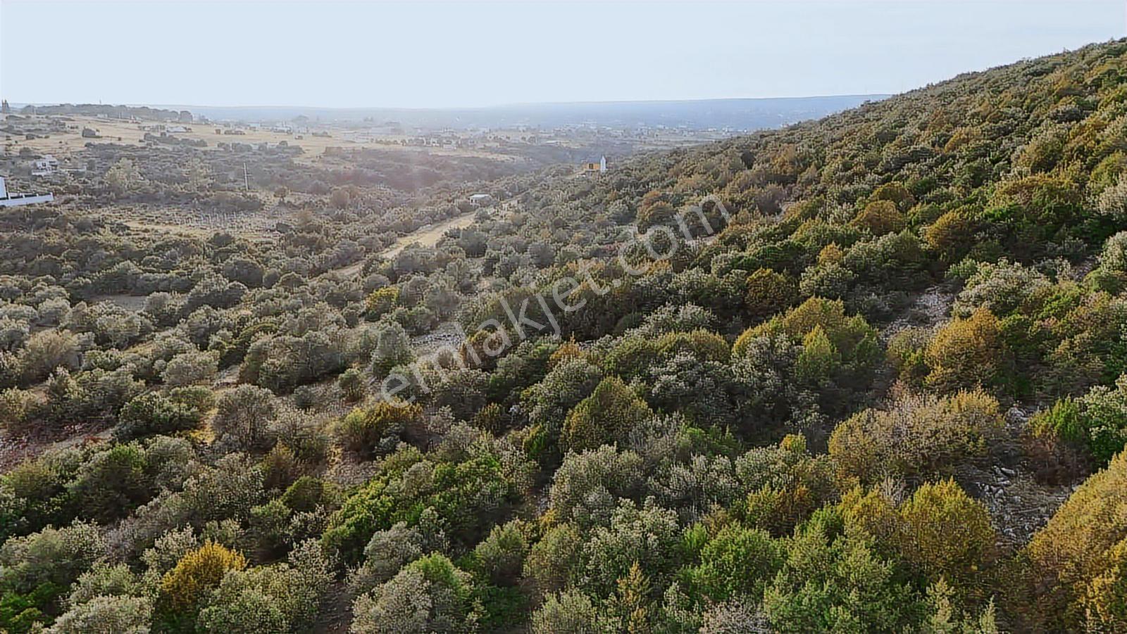 Didim Kardelen De Satılık 300 M2 Müstakil Arsa — fotoğraf 12