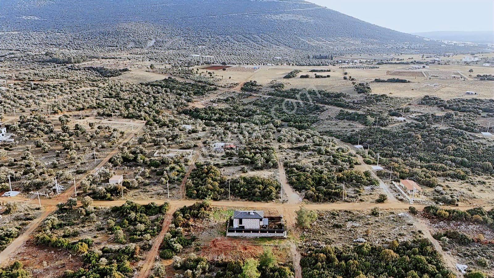Didim Kardelen De Satılık 300 M2 Müstakil Arsa — fotoğraf 14