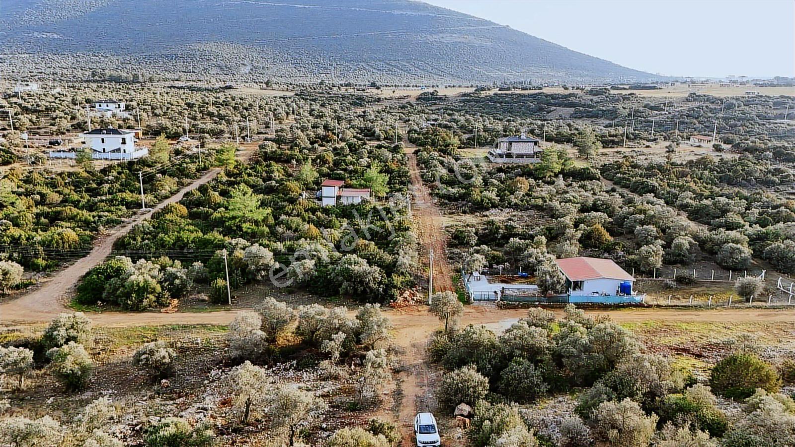 Didim Kardelen De Satılık 300 M2 Müstakil Arsa — fotoğraf 17