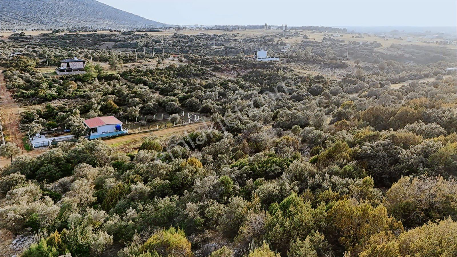 Didim Kardelen De Satılık 300 M2 Müstakil Arsa — fotoğraf 19