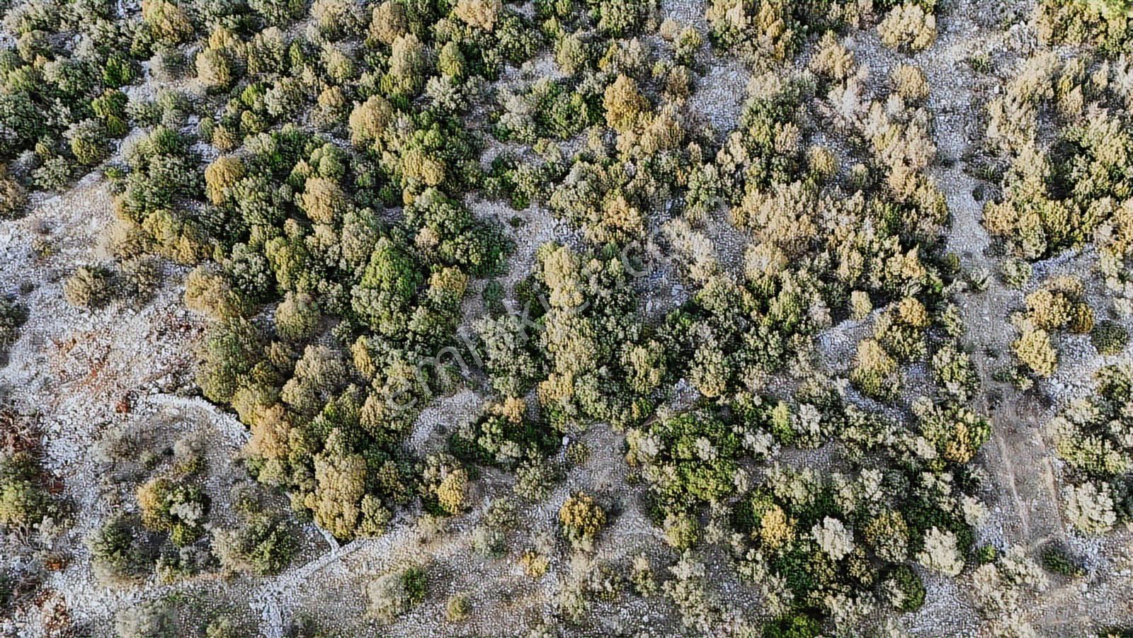 Didim Kardelen De Satılık 300 M2 Müstakil Arsa — fotoğraf 20