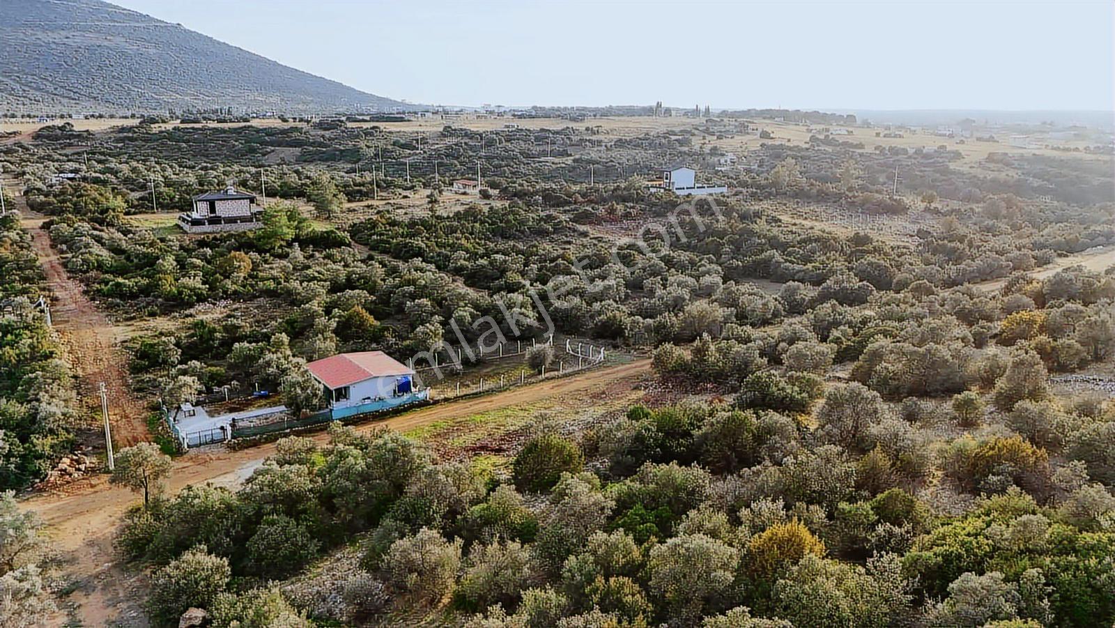 Didim Kardelen De Satılık 300 M2 Müstakil Arsa — fotoğraf 21