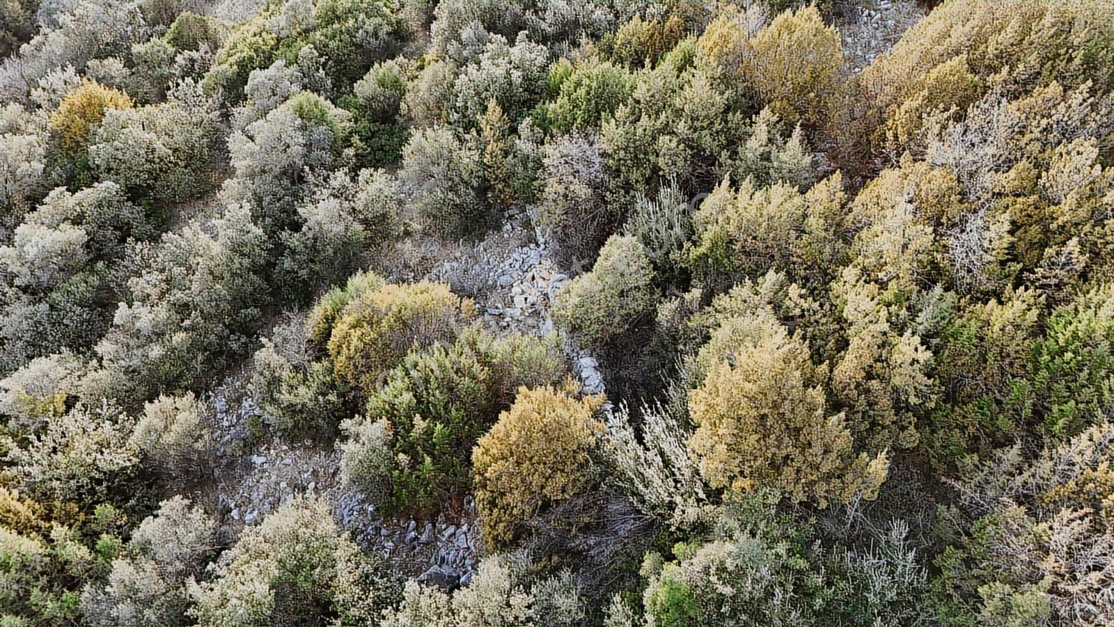 Didim Kardelen De Satılık 300 M2 Müstakil Arsa — fotoğraf 24