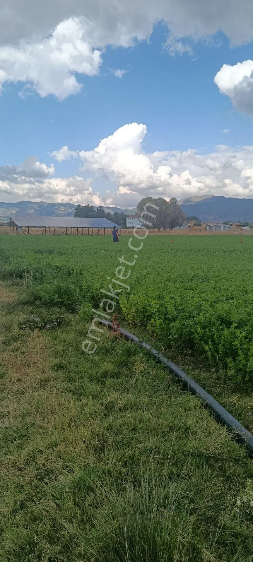 Denizli Acıpayam Karahöyük Satılık Tarla — fotoğraf 2