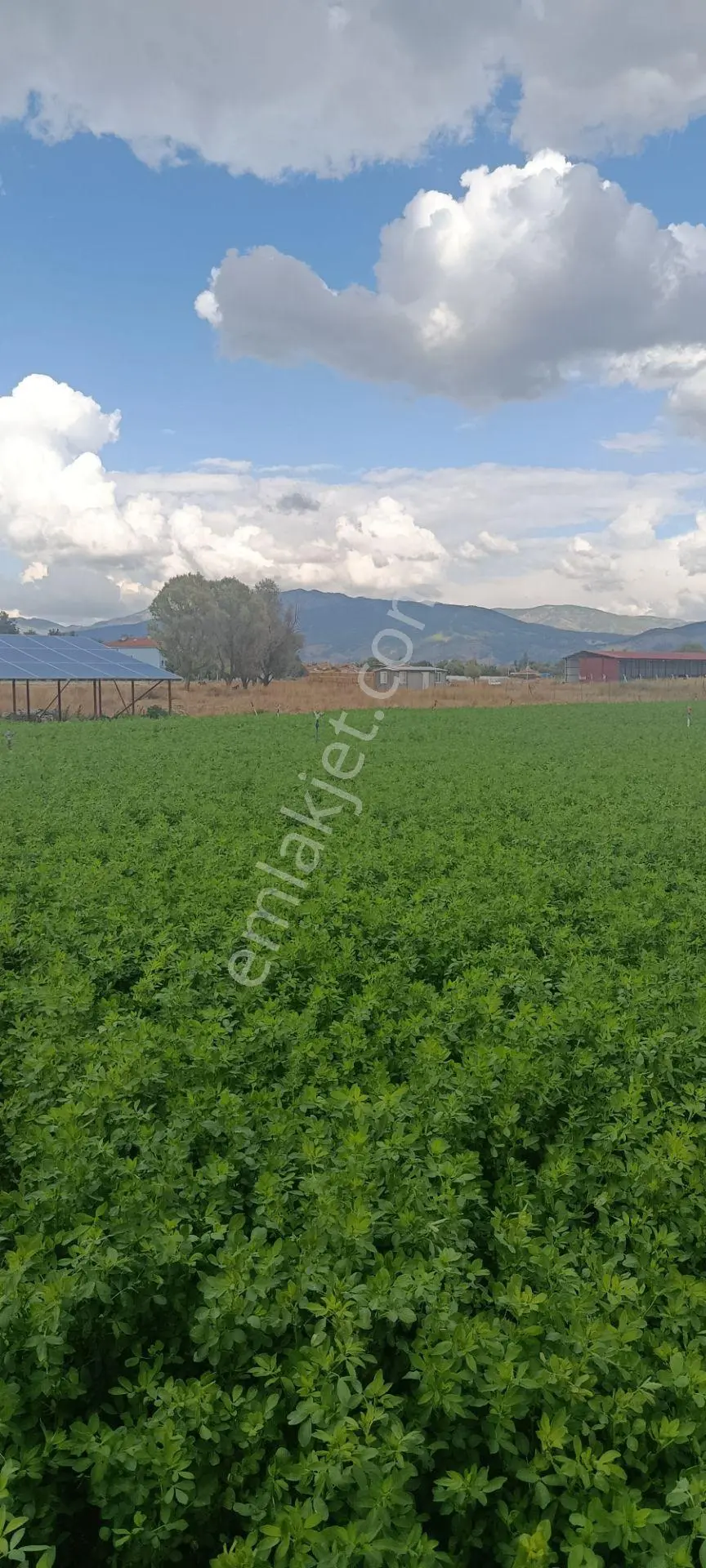 Denizli Acıpayam Karahöyük Satılık Tarla — fotoğraf 3