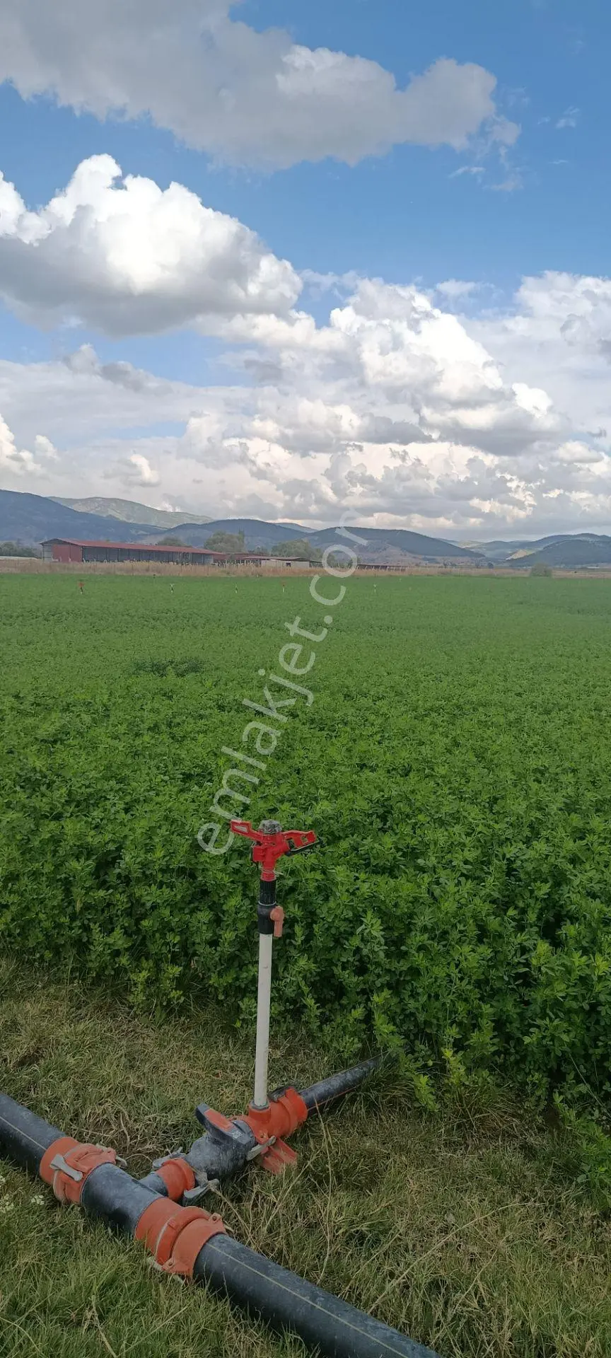 Denizli Acıpayam Karahöyük Satılık Tarla — fotoğraf 4