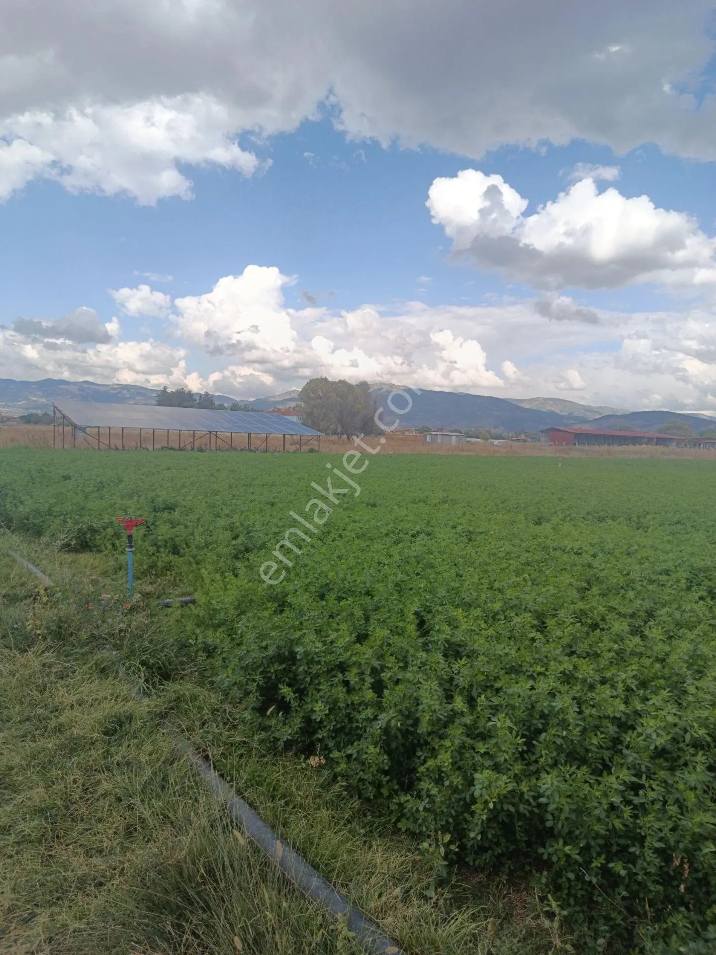 Denizli Acıpayam Karahöyük Satılık Tarla — fotoğraf 5