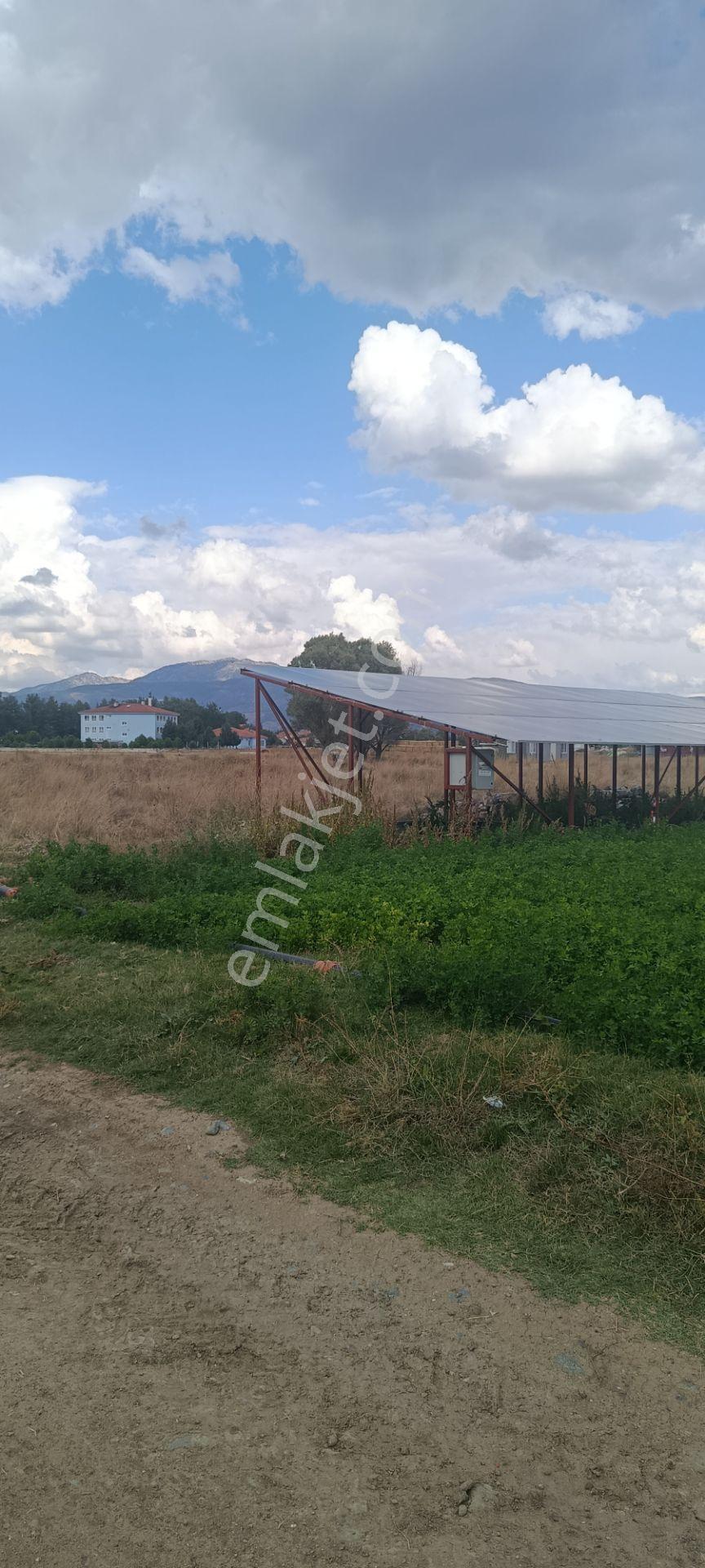 Denizli Acıpayam Karahöyük Satılık Tarla — fotoğraf 8