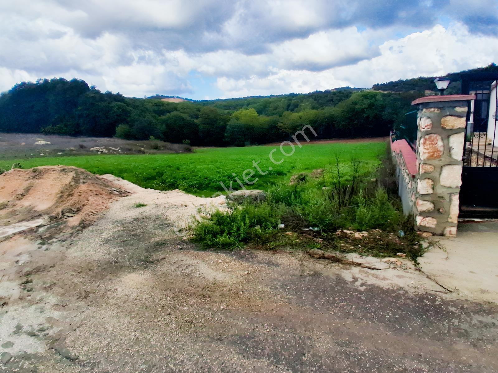 Körfez Kutluca'da Asfalt Kenarı 5318 M2 Yapılaşmaya Uygun Tarla — fotoğraf 4