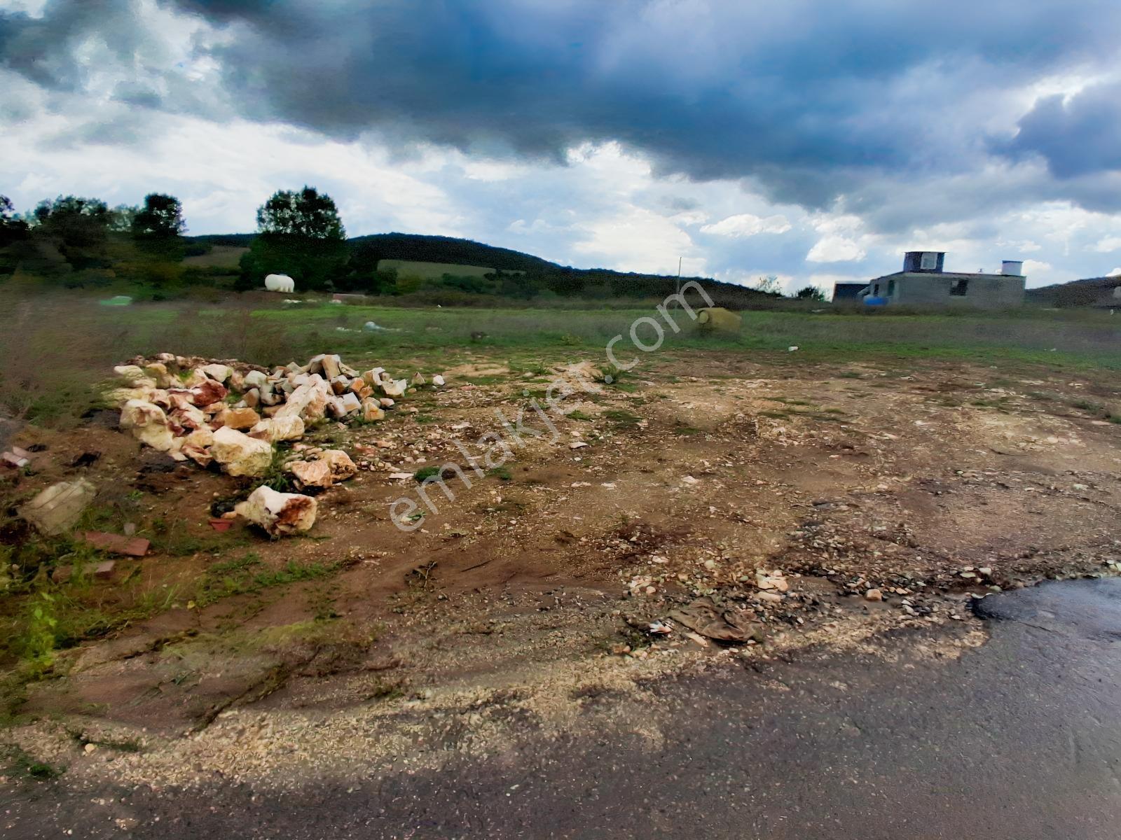 Körfez Kutluca'da Asfalt Kenarı 5318 M2 Yapılaşmaya Uygun Tarla — fotoğraf 9